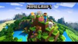 Minecraft Full HD 1080P 60FPS Live Stream