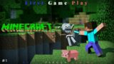 Minecraft Game Play | First Game Play | Rahul Paroda Gaming