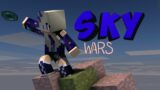 Minecraft Skywars#14