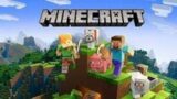 Minecraft Survival Server cracked 1.19 FREE join