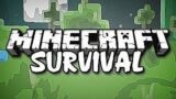 Minecraft Survival & servers