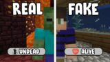 Minecraft but NOTHING IS REAL…