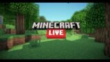 Minecraft live strea,