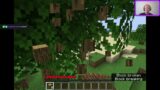 Minecraft on a Wednesday? (time for a new world)