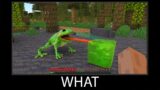 Minecraft wait what meme part 123 realistic minecraft Frog