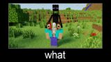 Minecraft wait what meme part 247 (Scary Enderman and Steve)