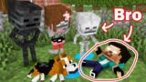Monster School : The Herobrine Family's Life – Sad Story – Minecraft Animation