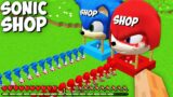 NEW SECRET SONIC SHOP and KNUCKLES in MINECRAFT – Gameplay minecraft animations scooby craft