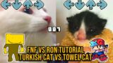 Ron TUTORIAL BUT TURKISH CAT VS TOWEL KITTEN – Friday Night Funkin Animation – V.S RON Mod