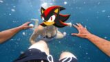 Shadow the Hedgehog is angry at Sonic | Friday Night Funkin' VS Sonic
