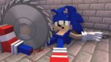 Sonic And Tails – The Wheel of Fortune Good Ending – FNF Minecraft Animation
