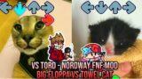 VS Tord NORWAY BUT BIG FLOPPA VS Towel CAT – Friday Night Funkin' Animation – VS Tord Mod