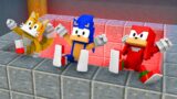 Vs Fleetway Super Sonic (Minecraft Animation) FNF – Chaos from Sonic.exe 2.0