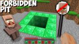Why is the VILLAGER FORBIDDEN to GO DOWN to this EMERALD PIT in Minecraft ! HOW TO ENTER ?