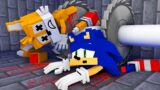 Sonic And Tails – The Wheel of Fortune Sad Ending – FNF Minecraft Animation