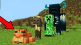 20 Minecraft things to worry about
