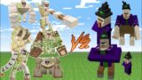All Golem Vs All Witch in Minecraft