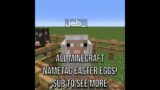 All Minecraft Nametag Secret Easter Eggs 1.18.2 #minecraft #easteregg #shorts