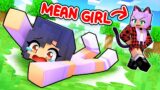 HURT By The MEAN GIRLS In Minecraft!