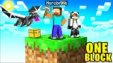 I Survived 100 Days on ONE BLOCK With HEROBRNE in Minecraft…