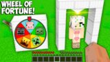 I can UPGRADE GIRL WITH THE WHEEL OF FORTUNE in Minecraft ! RANDOM MOB UPGRADE !