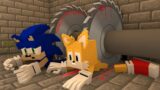 Sonic , Tails And Knuckles – The Wheel of Fortune Good Ending  – FNF Minecraft Animation
