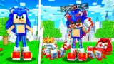 Upgrading SONIC to SONIC.EXE in Minecraft!