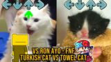 VS Ron AYO BUT TURKISH CAT VS TOWEL KITTEN – Friday Night Funkin Animation