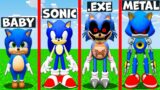 What happened with BABY SONIC in MINECRAFT animation SONIC.EXE SILVER SHADOW TAILS AMY ROSE KNUCKLES