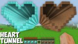 What inside LONGEST DIAMOND HEART TUNNEL vs DIRT HEART TUNNEL in Minecraft ! PASSAGE BATTLE !