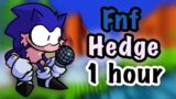 Friday Night Funkin (fnf) Hedge 1 hour -V.S. Sonic.Exe V3 [Fan made Song]
