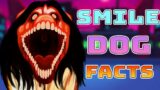 Smile Dog Mod Facts in fnf (Creepypasta)