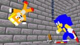 Sonic And Tails | The Wheel of Fortune | FNF Minecraft Animation