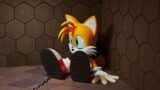 Sonic , Tails And Knuckles – The Wheel of Fortune – FNF 3D Animation