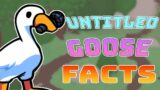 Untitled Goose Mod explained in fnf