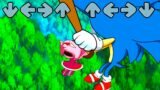 FNF Sonic LOST EVERYONE!!! Death of Amy Rose & Tails in Friday Night Funkin be like | FNF X Sonic