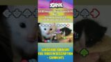 Imposters Rivals BUT HERBERT VS Towel Cat – Friday Night Funkin' Custom Animation VS Imposter V3