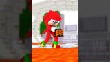 Sonic and Knuckles in FNF Corrupted Sliced Basketball #shorts