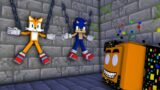 Sonic and Tails r VS FNF Corrupted Annoying Orange – The Wheel of Fortune FNF Minecraft Animation