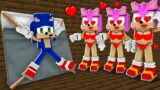 Amy Rose GIRLS vs TIED Sonic – Funny Story in Minecraft FNF Dancing Meme Animation