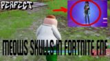 Friday Night Funkin' – Perfect Combo – The fnf mod ever: peter vs that cat from fortnite [HARD]