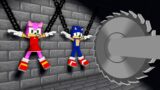 Sonic And Amy  – The Wheel of Fortune Sad Ending – FNF Minecraft Animation