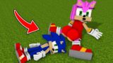 Sonic STUCK inside Amy Rose GIRL  – Funny Story in Minecraft FNF Dancing Meme Animation