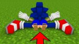 R.I.P Sonic.EXE and Amy Rose FNF in Minecraft – Funny Story FNF Dancing Meme Animation