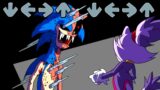 Sonic EXE Friday Night Funkin' be like VS Sonic + Amy Rose – FNF