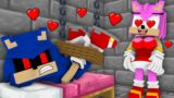AMY ROSE THE MANIAC CAUGHT SONIC EXE but TAILS… – Funny Story FNF Dancing Meme Animation