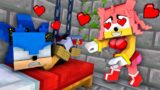 AMY ROSE THE MANIAC CAUGHT SONIC EXE but TAILS…  – | FNF Minecraft Animation