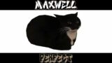 Friday Night Funkin' – Perfect Combo – Vs Maxwell The Cat Mod [HARD]