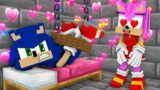 Poor SONIC and AMY ROSE LOVE CURSE FNF in Minecraft – Funny Story FNF Dancing Meme Animation