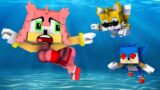 SONIC AND TAILS MANIACS CATCH AMY ROSE ! – Sonic Drowning | FNF Minecraft Animation